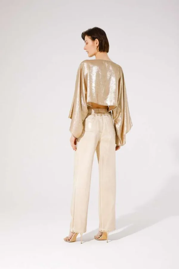 GoaGoa Occasionwear<Parsices Batwing Top