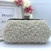 Wsl 8 Bags & Purses<Penney Pearl Clutch