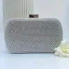 Wsl 8 Bags & Purses<POLLY DIAMANTE CLUTCH (SILVER)