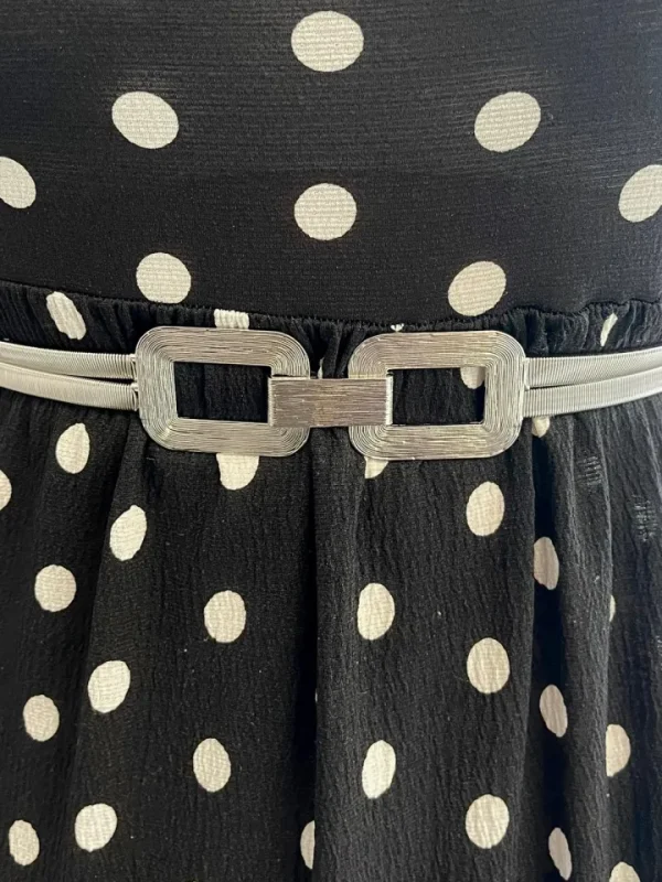 Wsl 3 Belts<Sophia Double Buckle Belt (Silver)